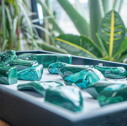 Plants and crystals: Their loving relationship and pairing ideas