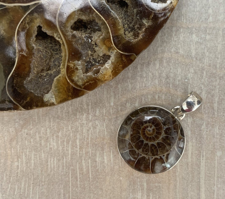Ammonite Round Pendant