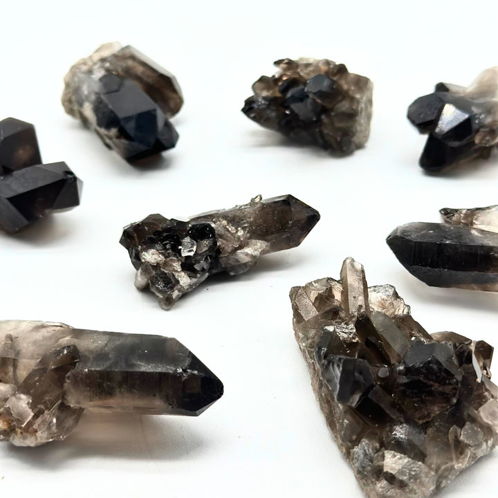 Smokey Quartz  Cluster