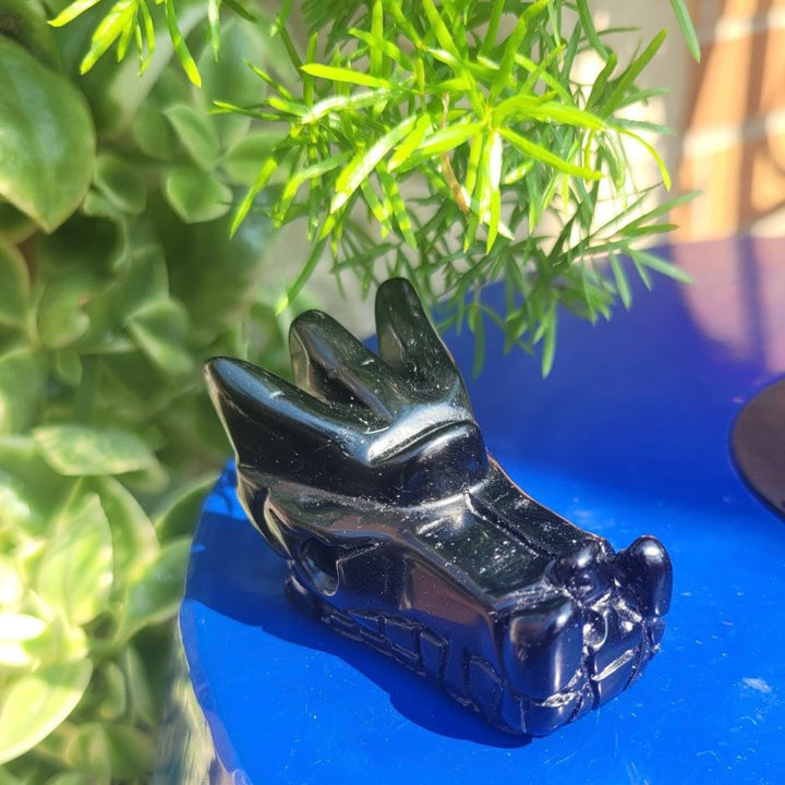 Obsidian Dragon