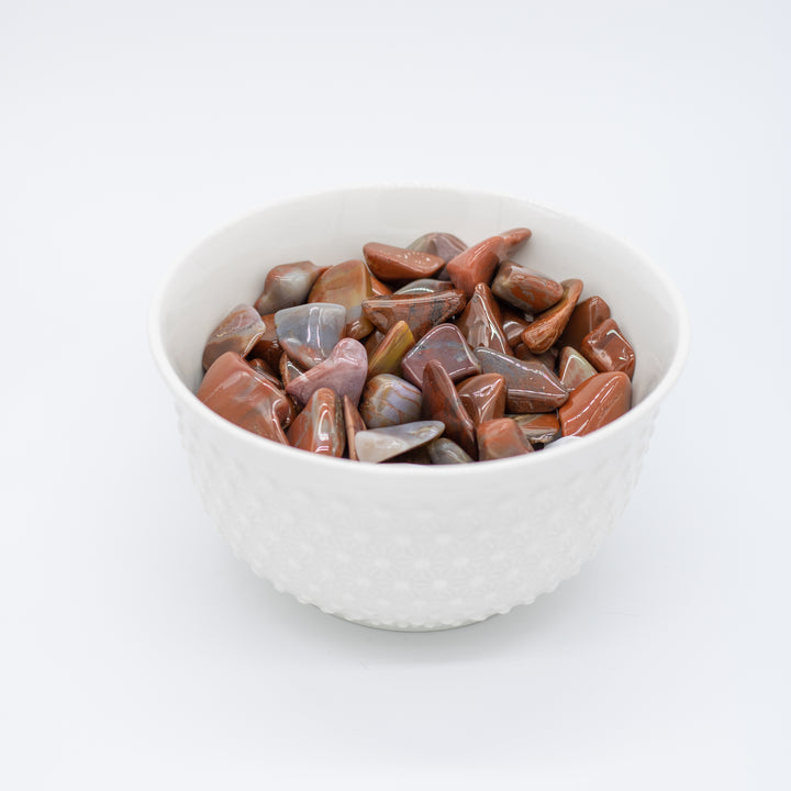 Petrified Wood Tumbled Stone