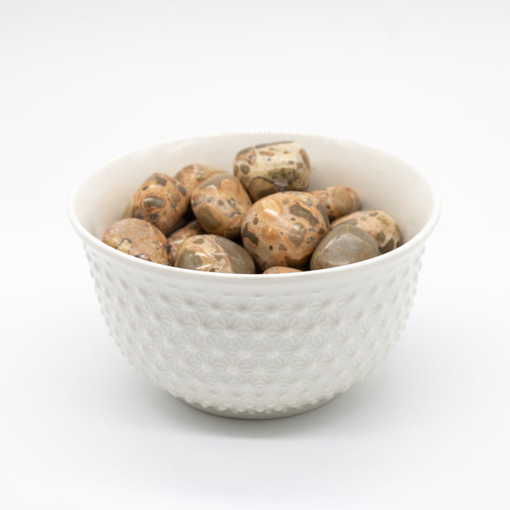 Leopardite Tumbled Stone