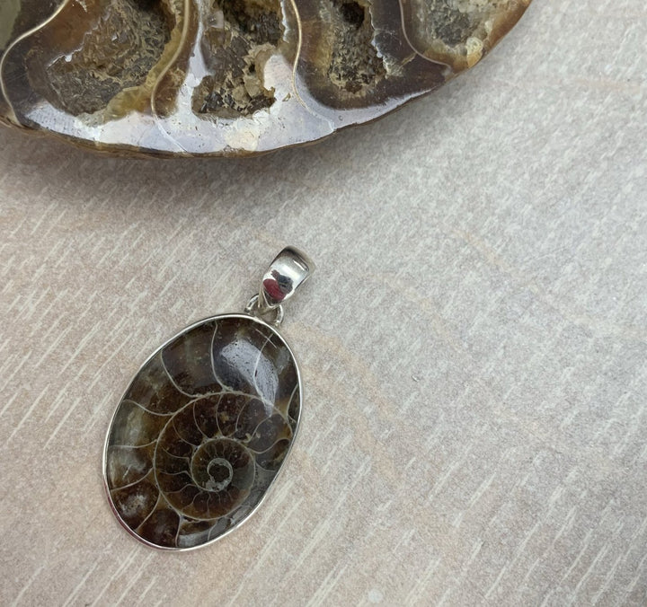 Ammonite Oval Pendant