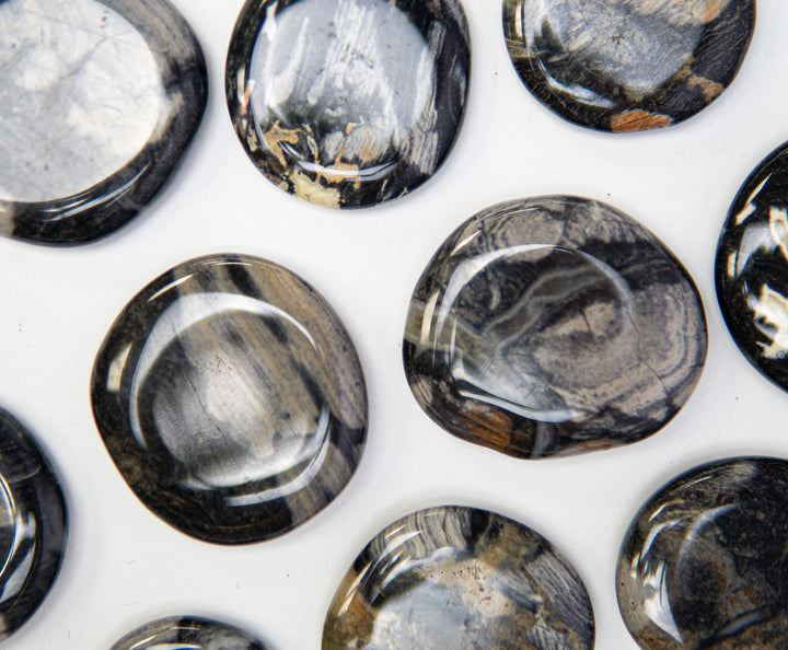 Silver Leaf Jasper Palm Stone