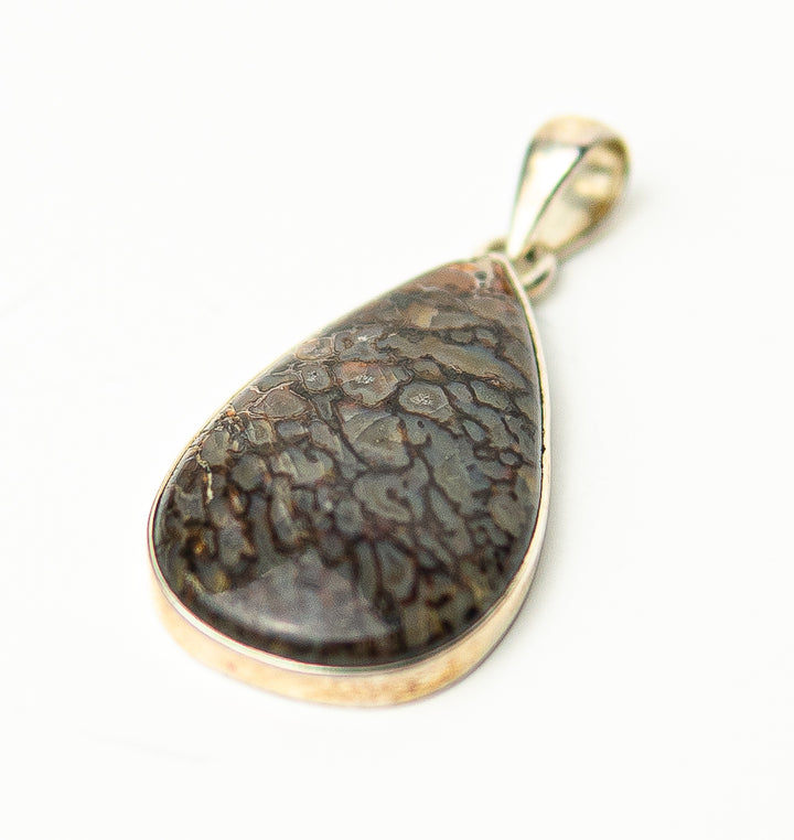 Dinosaur Bone Teardrop Pendant