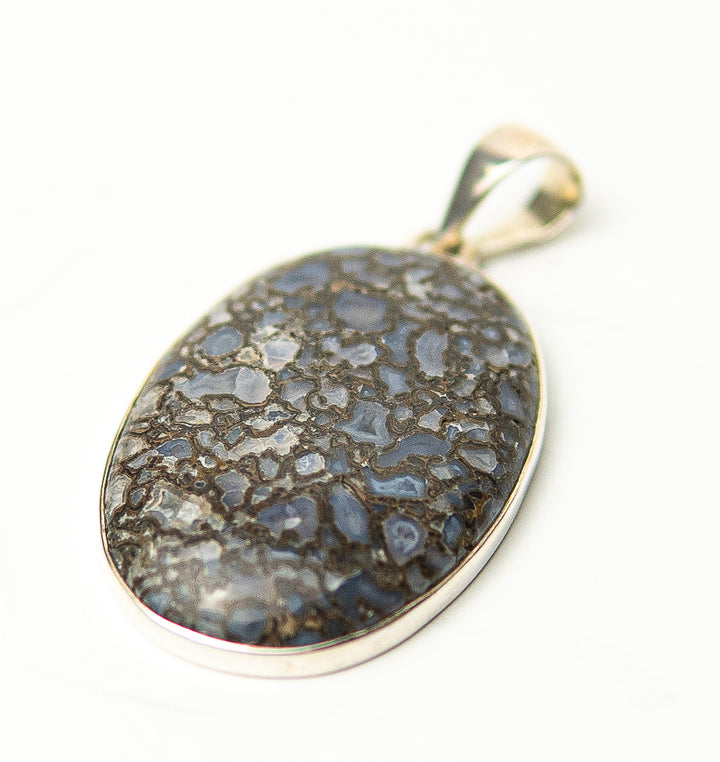 Dinosaur Bone Oval Pendant